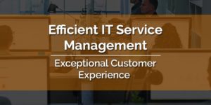 Read more about the article Efficient IT Service Management = Exceptional Customer Experience